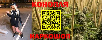 стаф Гусиноозёрск