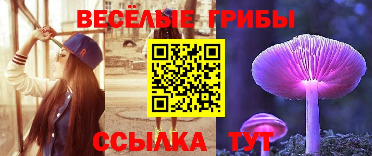 Новотроицк  Галлюциногенные грибы Magic Shrooms  продажа наркотиков  Вход с VPN 